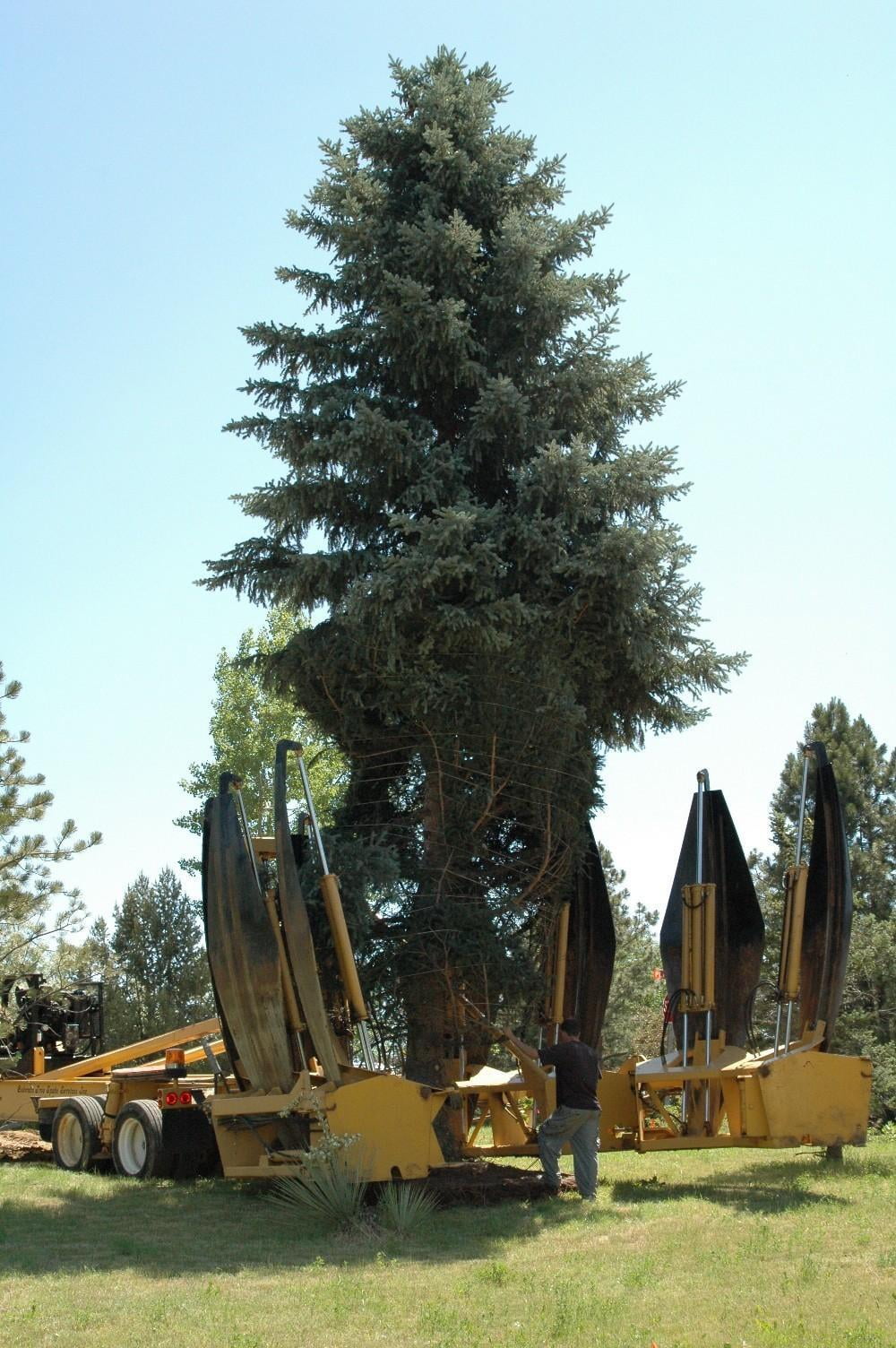 Colorado Tree Spade Moving, Relocation & Transplant Services